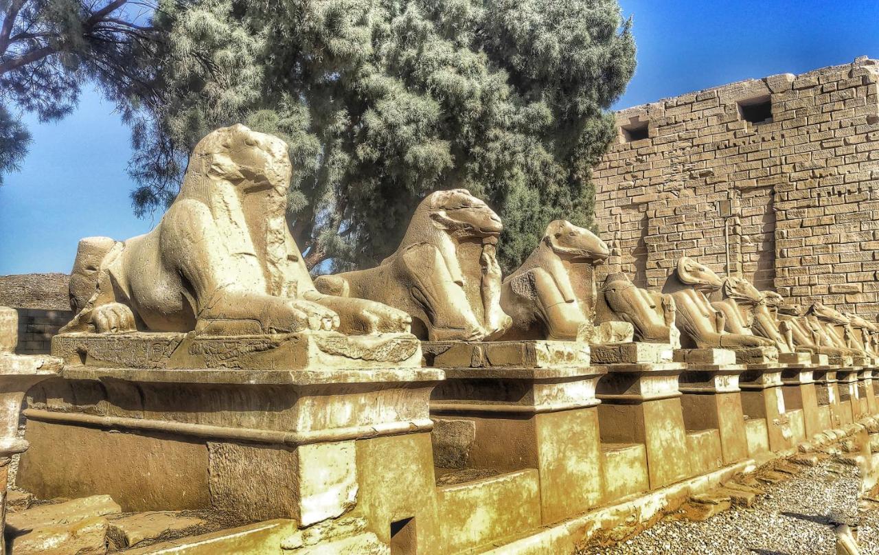 Royal Home Luxor Nile View Exteriör bild
